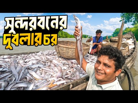 দুবলার চরের জেলেদের জীবন- সংগ্রাম