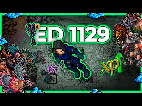 ED 1129 Hunt x4 Deeper Ingol 10.4kk/h Raw 9.7kk Profit (Double xp/loot) - Tibia Hunt [13.17] #tibia
