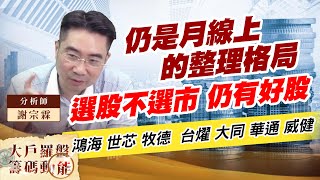 仍是月線上的整理格局 選股不選市 仍有好股 (圖)