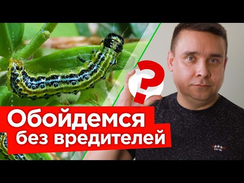 Миниатюра изображения товара Субстрат ProFit АнтиВредитель (1л)