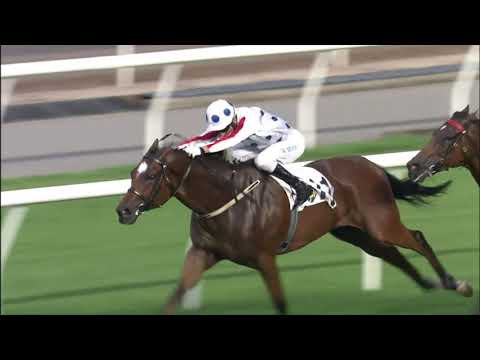 19/9/2021 (46) C P Brave - J Moreira