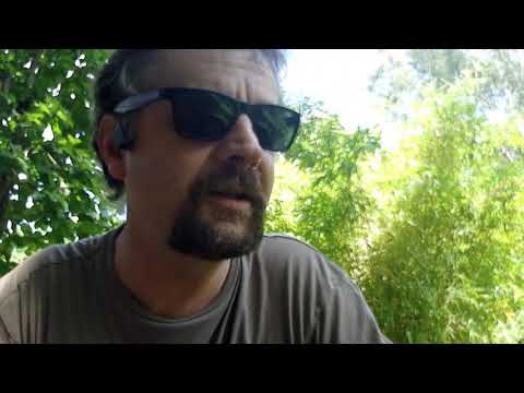 Genetics Race and IQ