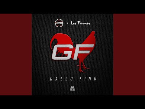 Miniatura de Gallo Fino