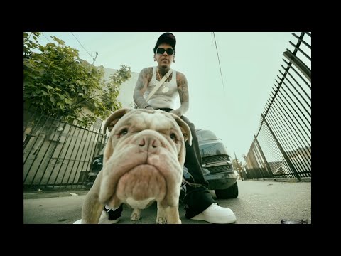 Parkside Plugs- Gon Be Alright (Official Music Video) shot by @sebvs_shoots