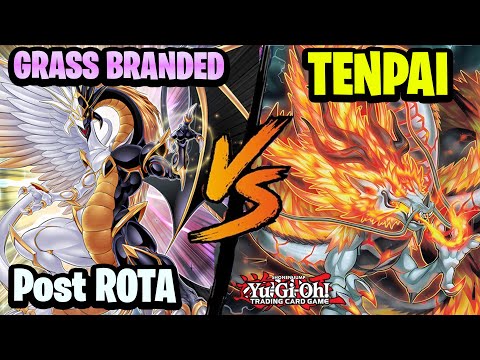 Branded Despia vs Tenpai - Post Rota Yu-Gi-Oh!