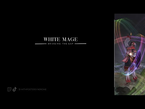 Final Fantasy XI White Mage 2025 Intro to Endgame and Playstyle Guide