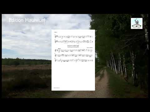 Schubert Lützows wilde Jagd