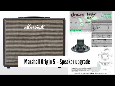 Marshall Origin 5 speaker upgrade tutorial | Jensen P8R 16 ohm AlNiCo speaker