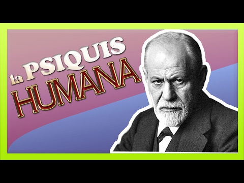 LA PSIQUIS HUMANA