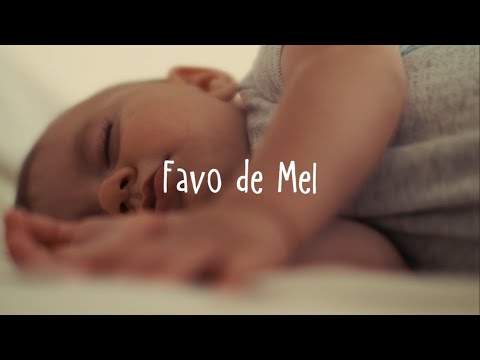 Favo de Mel | Bárbara Dias (Lyric Video Oficial)