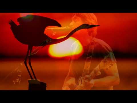 Chris Rea  - If I Ever Get Over You  (Blue Guitars, Blues Ballads)