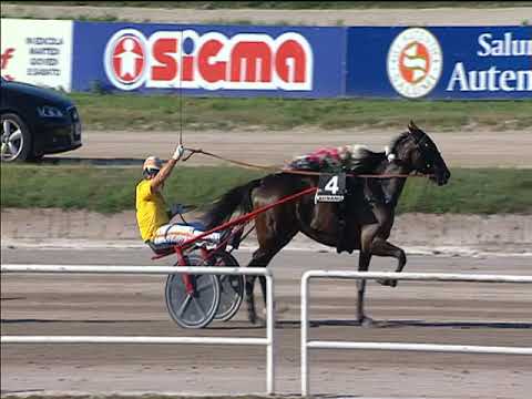 Trotto 23/09/2018 - 6ª corsa