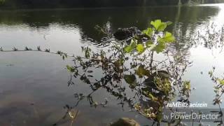 Snap nature clip