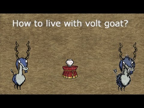 Don't Starve Together: How to live with volt goat?