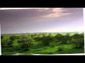 Soheil Nafisi - Another Birth (Digar Milad) 