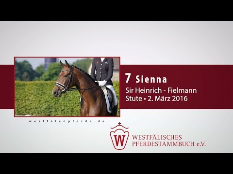 07 Sienna  Stute v. Sir Heinrich - Fielmann