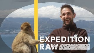 Can Wild Monkeys Hang With Humans? | Expedition Raw