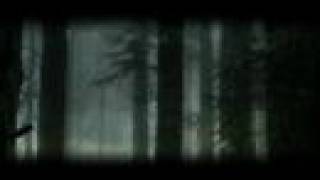 Steve Jansen: extracts from "Swimming In Qualia - Ascent"