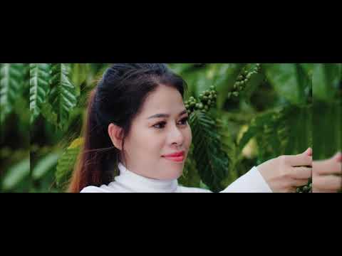 Cà phê xanh kháng mỡ tổng công ty Thiên Nhiên Việt