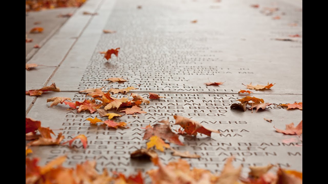 Sam M. Walton College of Business 2020 virtual senior walk