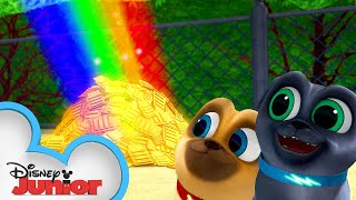 Bingo and Rolly&#39;s Pot of Gold 🥇| Puppy Dog Pals | Disney Junior