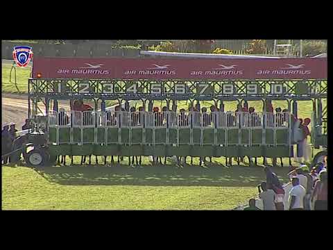 RM11 R8 | Dealer's Charm | D.David