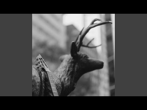 In the Shadow of Our Pale Companion (For Solo Guitar)