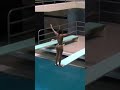 Saylor Hawkins Dives At Houston