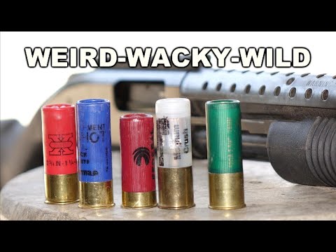 WEIRD-WACKY-WILD Super Exotic Shotguns Rounds!