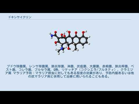 犬におけるドキシサイクリン - 使用法と副作用
