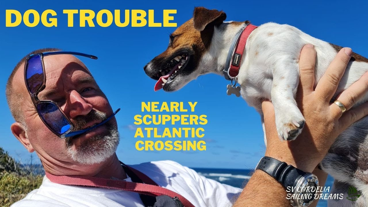 SAILING DOG TROUBLE just before our FIRST ATLANTIC OCEAN CROSSING
