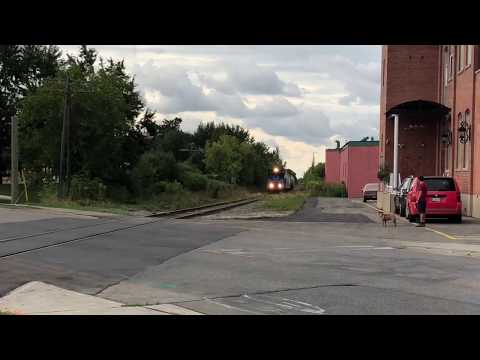 Trillium! Northbound OBRY @McMurchy Ave, Brampton! 09.06.2019