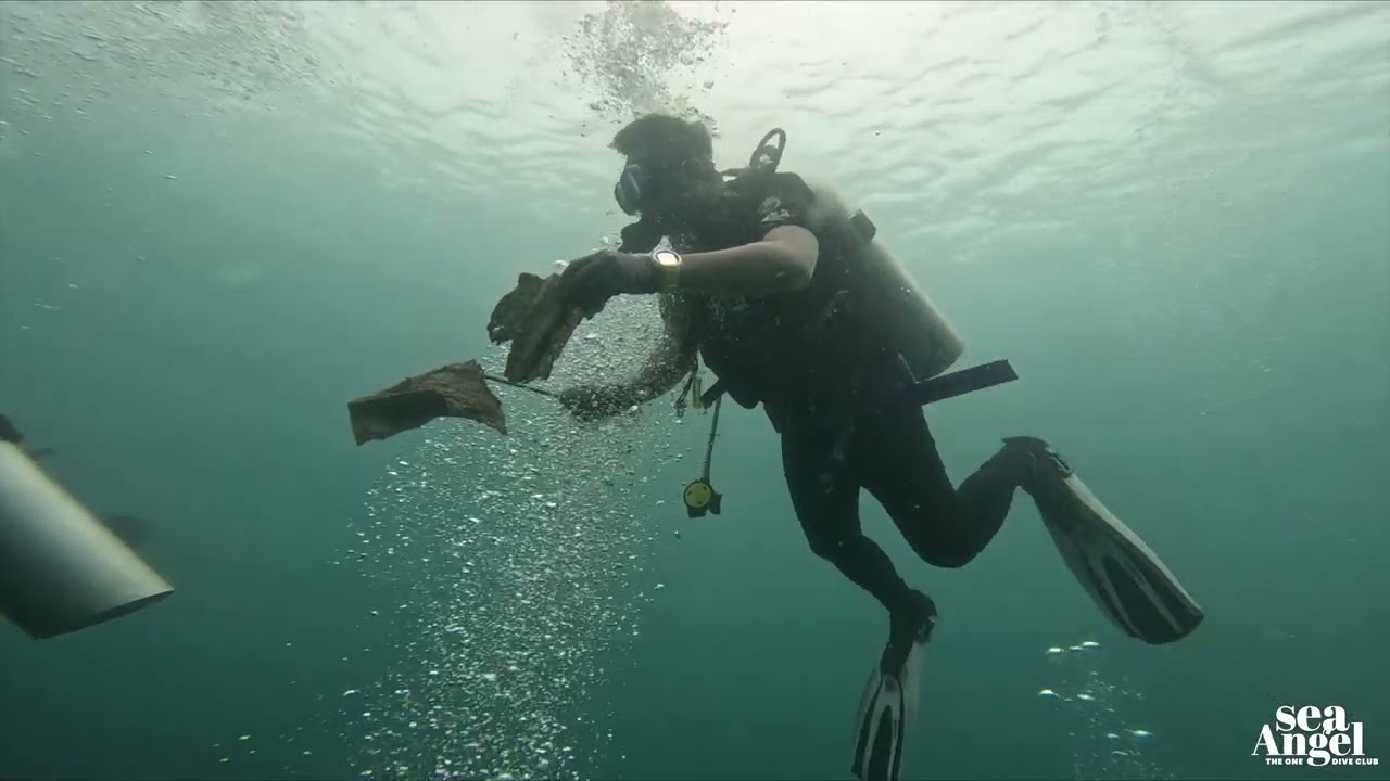 Dive into the unknown depth of Tenggol Island