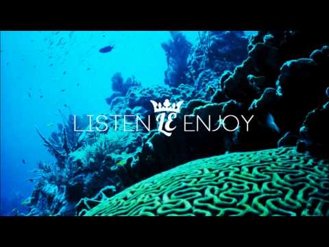 Octa Push - Please, Please, Please (Molo Remix)