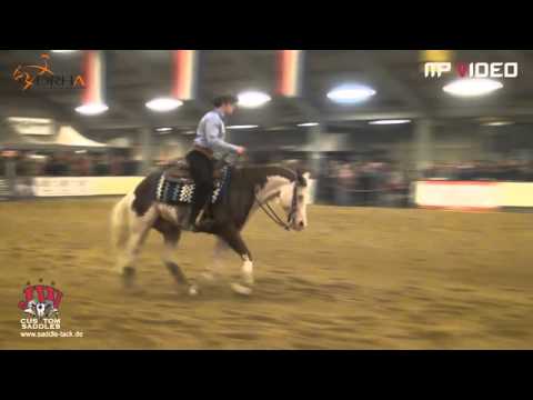 Wimpys Smoking Gun - Non Pro Lawson Reserve Champion Wanroj - Netherlands