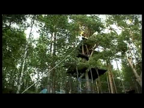 Trädälskaren SVT Sverige (The Tree Lover)