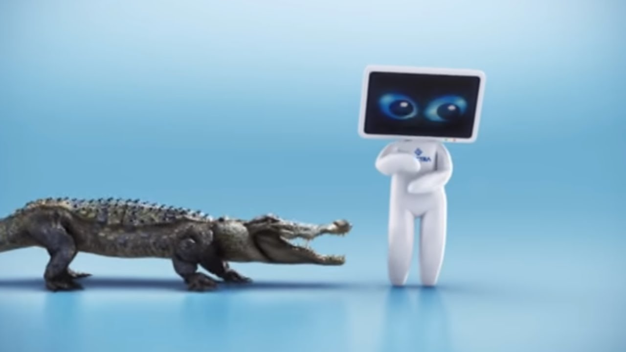 PVR krokodyl