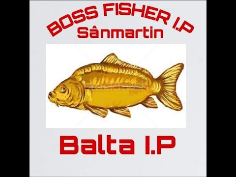 Balta I.P Sânmartin (O mica prezentare)