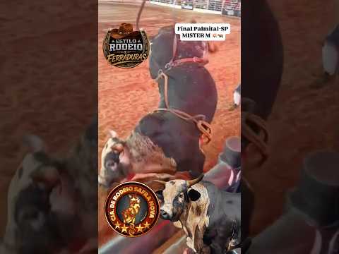 Final Rodeio Palmital- SP LEONARDO CASSIANO X MISTER M.