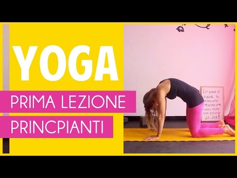 Gonartrosi al ginocchio prevenzione congiunta Quando si cammina mal di schiena e allanca