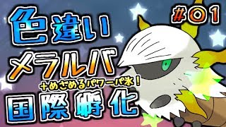 メラルバ ポケットモンスター レシラム ブラッキー ユキハミ メラルバ ポケットモンスター レシラム ブラッキー ユキハミ