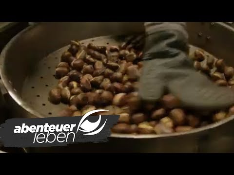 Der Weg der Maronen | Abenteuer Leben | kabel eins