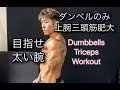 ダンベルのみ上腕三頭筋を太くする[Dumbbell Triceps Workout]