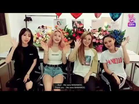 [ENG SUB] 170806  MAMAMOO VLIVE CH+ | what's up osaka!