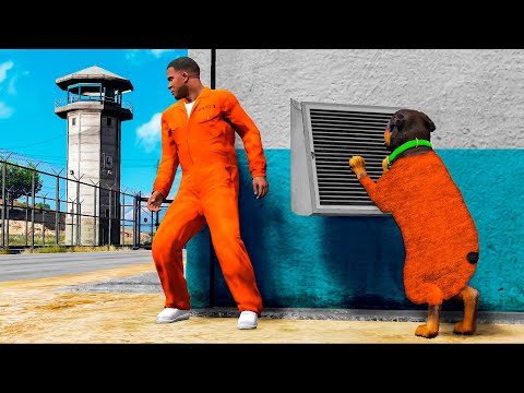 ESCAPE FROM PRISON WITH FRANKLIN AND CHOP IN GTA 5!