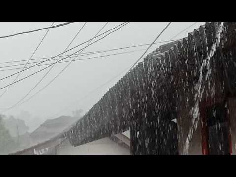 Super Heavy Rain Sounds for Deep Sleep 🌧️ Fall Asleep Fast, Stay Asleep All Night