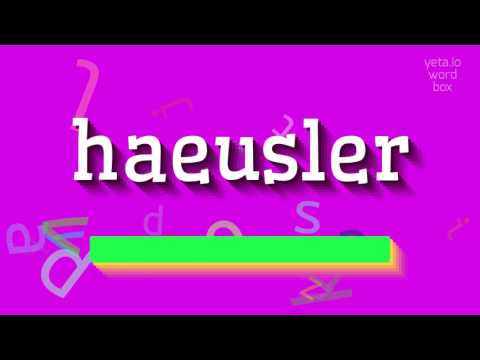 How to say "haeusler"! (High Quality Voices)