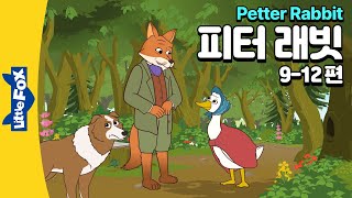 피터래빗 동화모음 3 | 알을 지키고 싶은 오리 저마이마 | 리틀팍스 영어 | 인기동화모음 | 영어동화모음 | Peter Rabbit 03 | Jemima Puddle-Duck