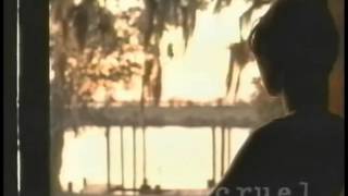 First Love, Last Rites (1998) Video