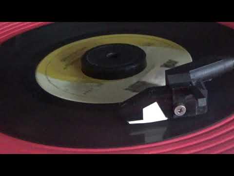 ray stevens   mr.  businessman  45